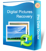 Digital Picture Recovery Software