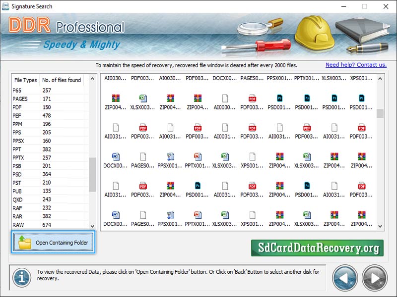 Screenshot of DDR Professional Data Recovery Software